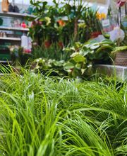 Centre Agro Satigny Bild 6