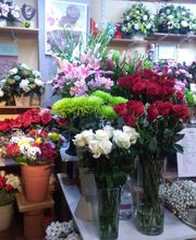 Floristería Manuela imagen 18