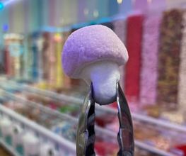 SWEETS HEAVEN STORE Bild 10