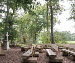 FriedWald Gronenburg Bild 6