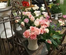 Majas Blumenecke Bild 3
