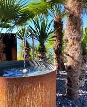 Lattion & Veillard SA - Côté paysage Bild 6