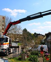 Tanner Transporte GmbH Bild 2