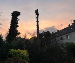 Haus und Gartendienst Bartmann Bild 14