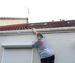 Mixte - Services image 4