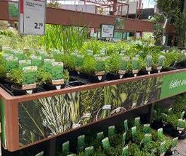 Intratuin Zoetermeer afbeelding 16