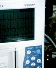 Clínica Veterinaria Los Galgos imagen 9