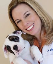 Loving Care Animal Hospital image 1