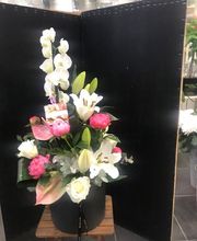 Acqua Flora image 11