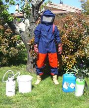 Stop Guêpes & Frelons image 1