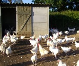 La Ferme Du Pourpray image 1