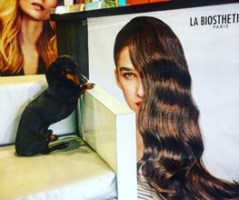 Agua'Tif Coiffure image 4
