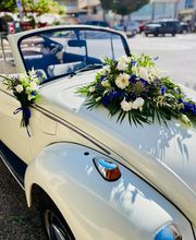 Pom'Violette image 3