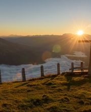 Betschart und Eichhorn GmbH Bild 4