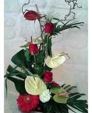 La Rose Rouge image 13