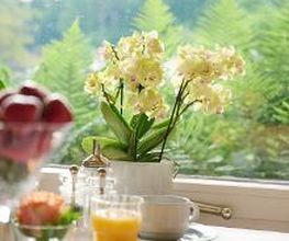 Hotel Morgensonne Bild 3