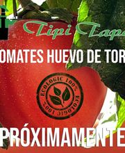 Juan García imagen 11