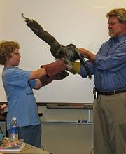 Cheyenne Pet Clinic image 4