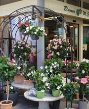 Blumen Eichenberger Horgen Bild 5