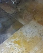 Schutterle Patrick image 2