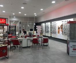 General Optica - Visión y Audición imagen 8