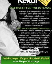 311353247-1-wUJACUo3Kf1785321026694.png
