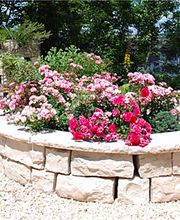 Lägern-Kalksteinbrüche AG Bild 3