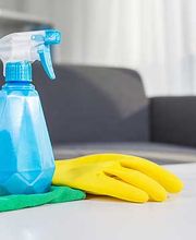 Adriana Nettoyage Bild 3