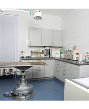 Wingeß Thomas Dr. Bild 6
