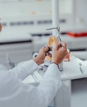 Zahnarztpraxis Elefant Bild 1