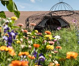 Gartenkultur Daniel Ruprecht AG Bild 8
