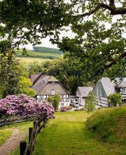 Hotel Gut Vorwald Bild 18