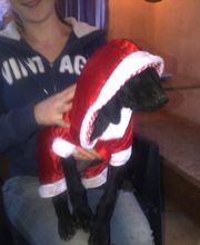 Elevage de L'étang Du Vert image 4