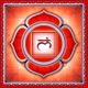 MULADHARA WELLNESS CENTRO BENESSERE