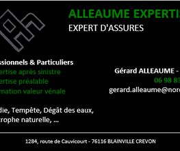 Alleaume Expertises image 3