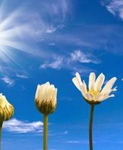 Hocquaux Cécile image 1