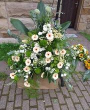 Blumen Dahlmann Bild 7