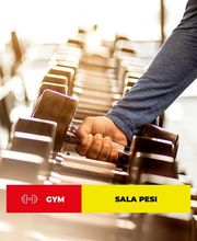 Gallery Cliente