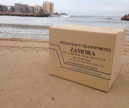 Mudanzas Zamora imagen 15