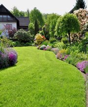 Guillard Norbert image 2