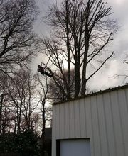 Sos Elagage & Energie Verte image 9