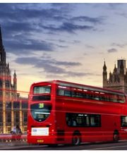 Gepard's Sprachschule Bild 1