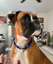 Port Angeles Realty image 17