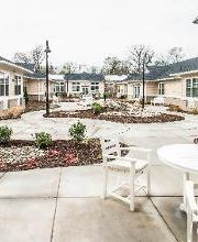 Renaissance of Annandale image 2