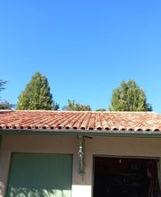 Tranier Pierre image 4