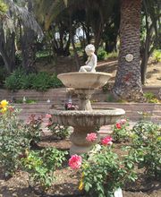 Mesa Care, RCFE image 5