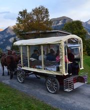 schuler-transporte.ch gmbh Bild 1