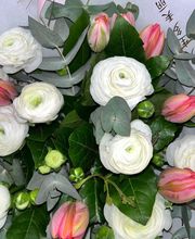 Maison Segard image 3