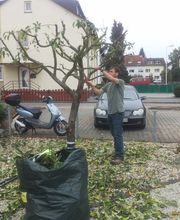 Garten- und Landschaftsbau