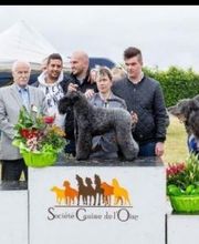 Compiègne Education Canine image 1